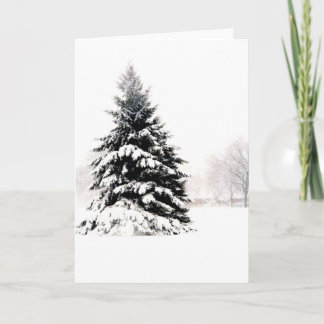 Winter Tree Card