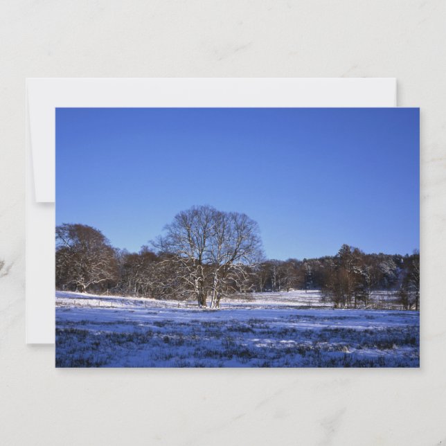 Winter tree Cheshire Holiday Card (Front)