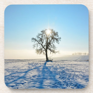 Winter Tree - - Coaster