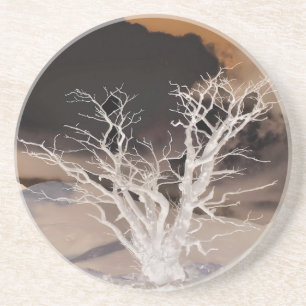 WINTER TREE COASTER