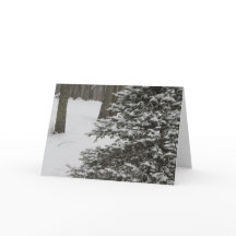 Winter Tree Holiday Card
