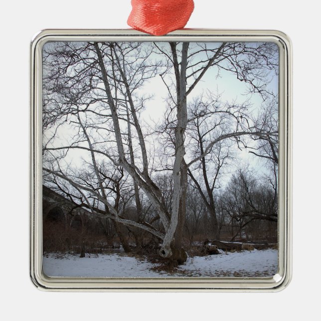 Winter Tree in Snow Ornament (Front)