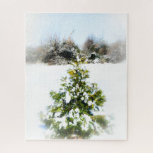 Winter tree