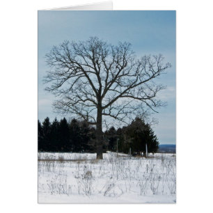 Winter Tree Joy Card