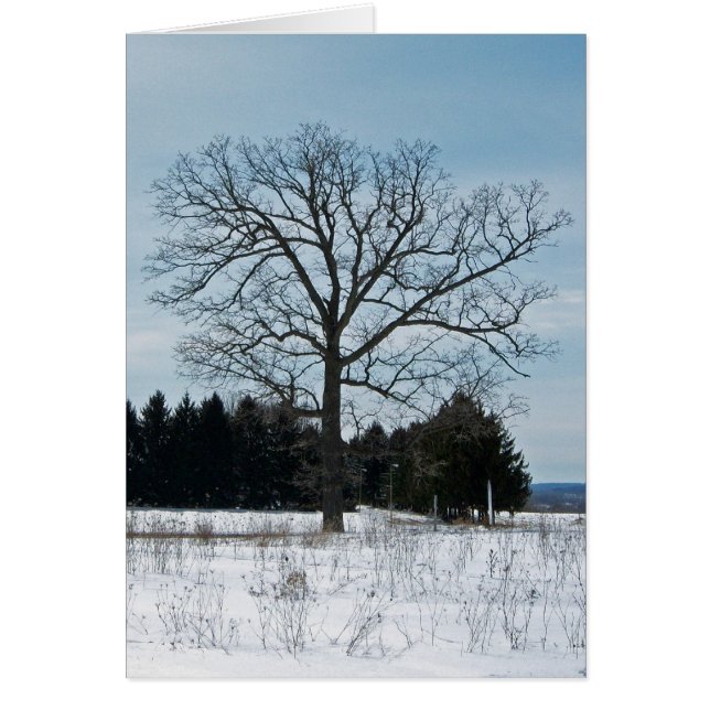 Winter Tree Joy Card (Front)