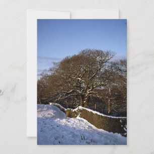 Winter Tree Lyme Handley Cheshire Holiday Card