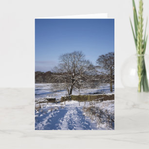 Winter Tree Lyme Park Holiday Card