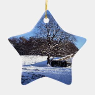 Winter Tree Lyme Park Holiday Card Poster Photo Bl Ceramic Tree Decoration