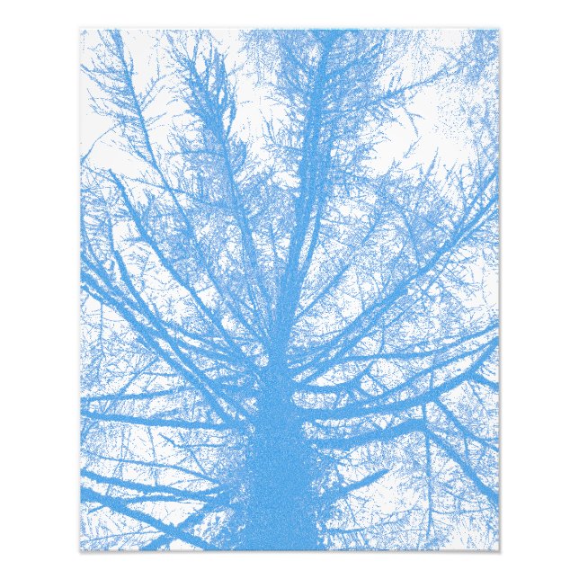 WINTER TREE PHOTO PRINT (Front)
