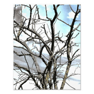 WINTER TREE PHOTO PRINT
