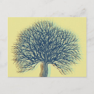 Winter Tree Postcard