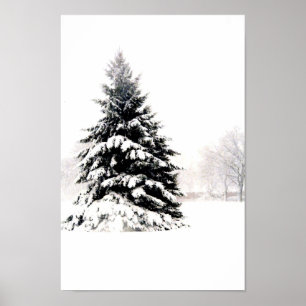 Winter Tree Poster