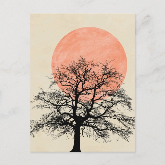 Winter Tree Silhouette Sun Postcard (Front)