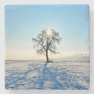 Winter Tree - - Stone Coaster