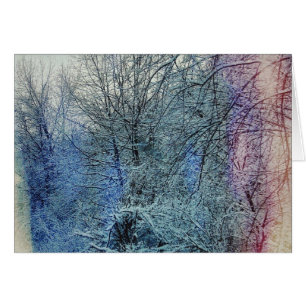 Winter Trees