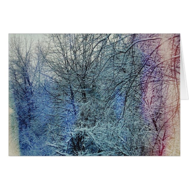 Winter Trees (Front Horizontal)