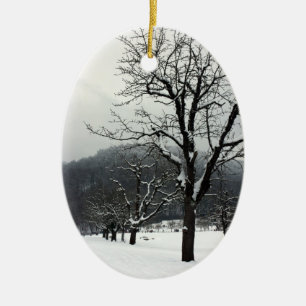 Winter trees. Arlesheim, Switzerland Ceramic Tree Decoration