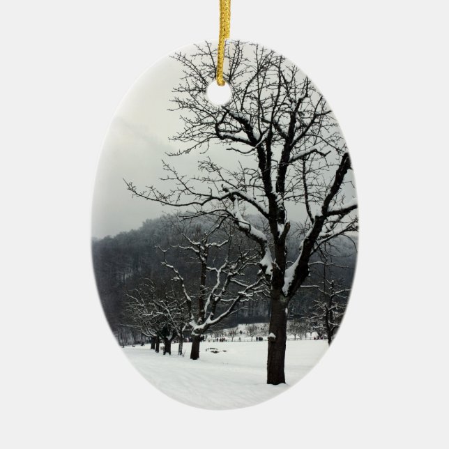 Winter trees. Arlesheim, Switzerland Ceramic Tree Decoration (Front)