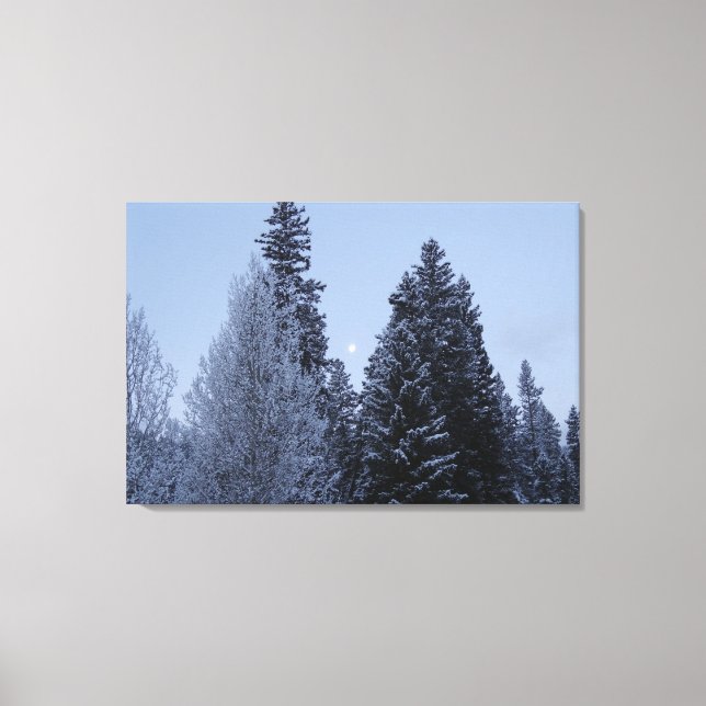 Winter Trees at Dawn Montana Landscape Canvas Print (Front)