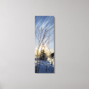 winter trees canvas print