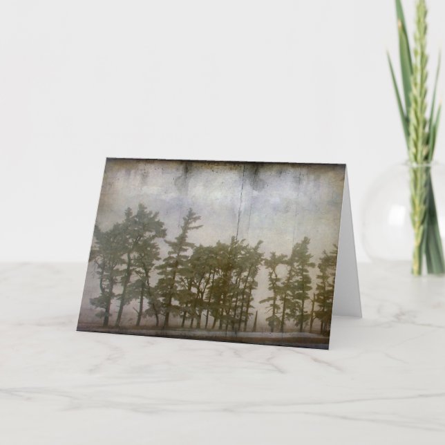 Winter Trees Card (Front)