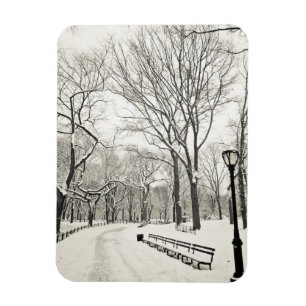 Winter Trees Covered in Snow Magnet