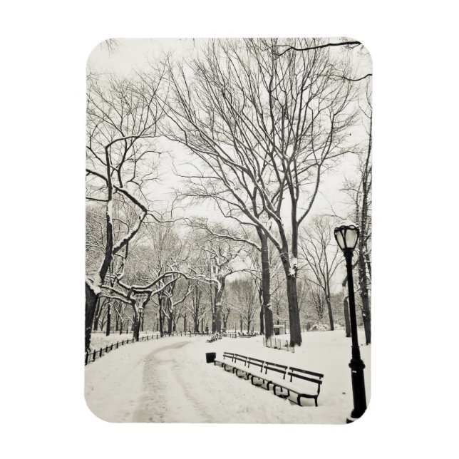 Winter Trees Covered in Snow Magnet (Vertical)