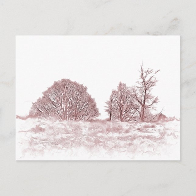 WINTER TREES HOLIDAY POSTCARD (Front)