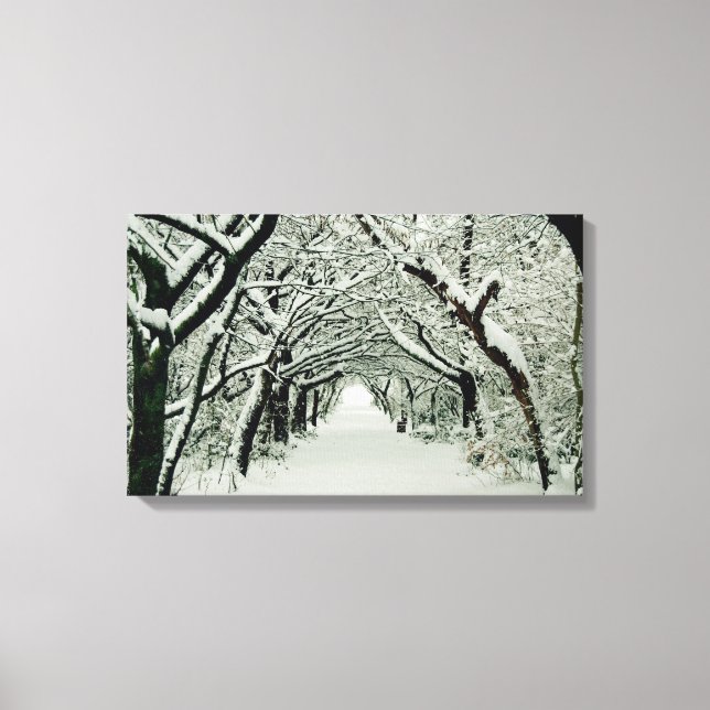 Winter Trees in Heaton Park Canvas Print (Front)