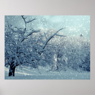 Winter Trees Landscape Poster