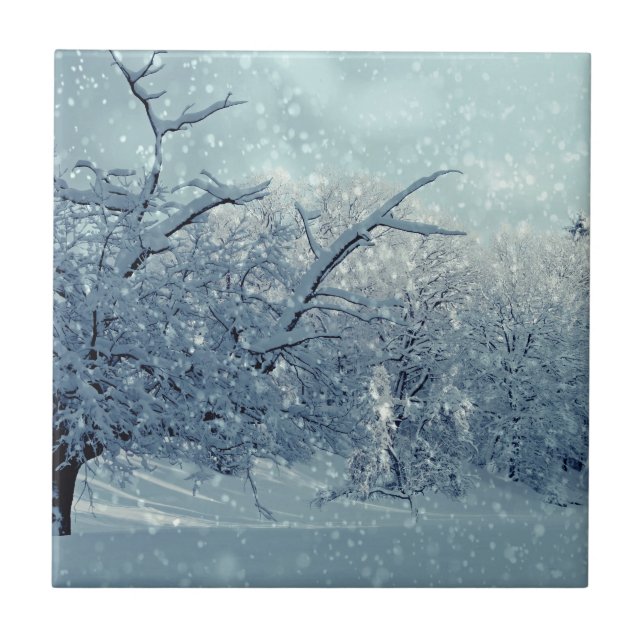 Winter Trees Landscape Tile (Front)