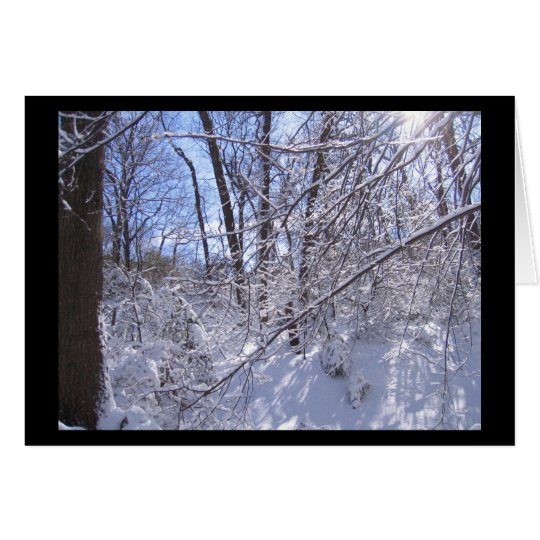 Winter Trees Notecard
