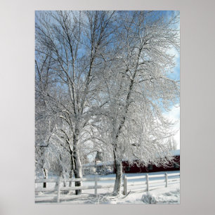 Winter trees poster