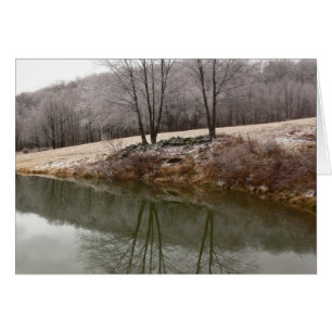 Winter Trees Reflected