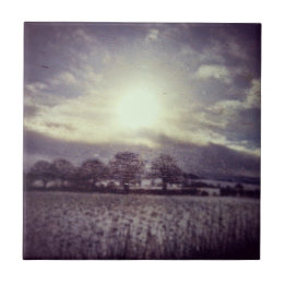 Winter ttrees fields and hills from train window tile