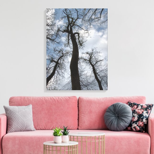 Winter Tulip Poplar Trees Cloudy Blue Sky Canvas Print (Insitu(LivingRoom))