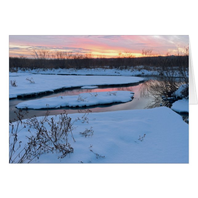 Winter Twilight at Wildlife Refuge (Front Horizontal)