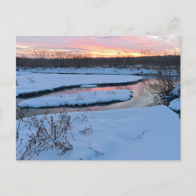 Winter Twilight at Wildlife Refuge Postcard (Front)