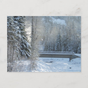 Winter up North Postcard