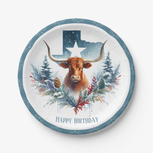 Winter Vibes Texas Longhorn Birthday Paper Plate (Front)