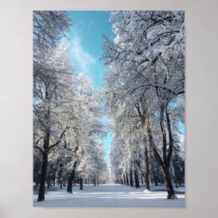 winter walk in the park poster