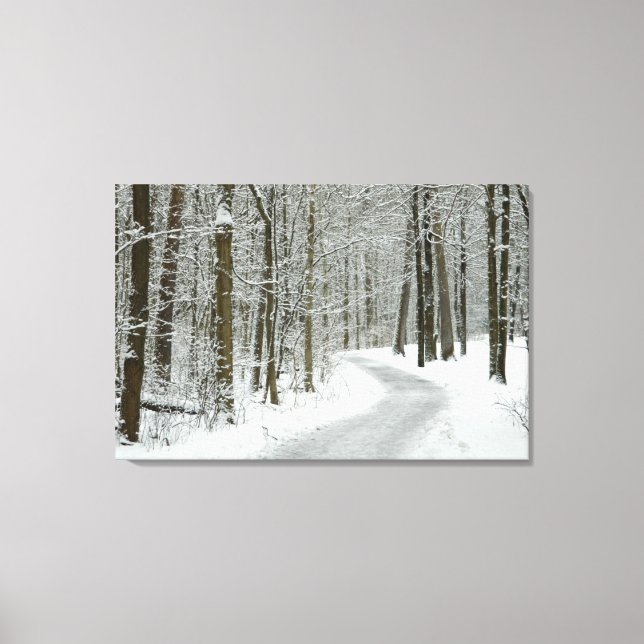 Winter Wandering Wrapped Canvas Print (Front)