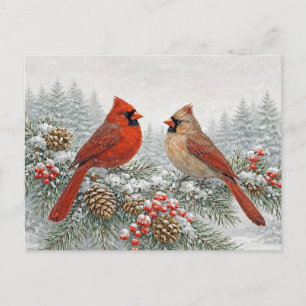 Winter Watercolor Red Cardinal Pair on Snowy Pine Holiday Postcard