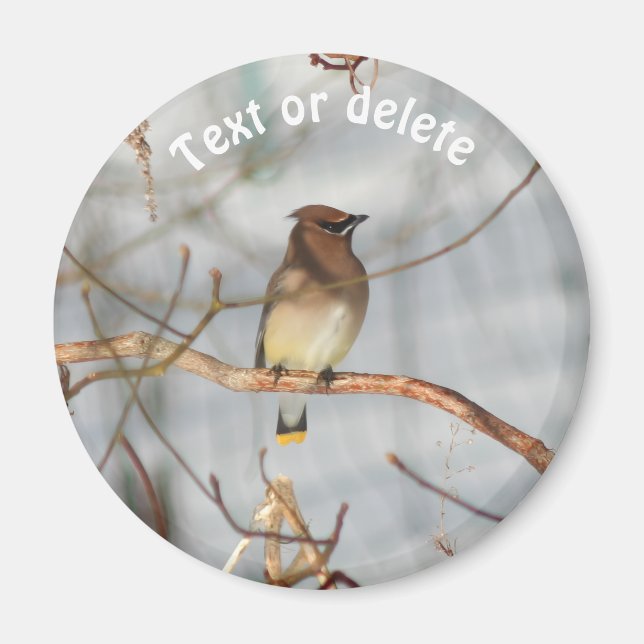 Winter Waxwing Wildlife Nature Personalized Magnet (Front)