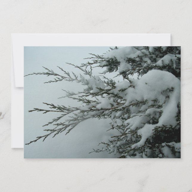 Winter Wedding Evergreen Tree With Snow Invitation (Front)