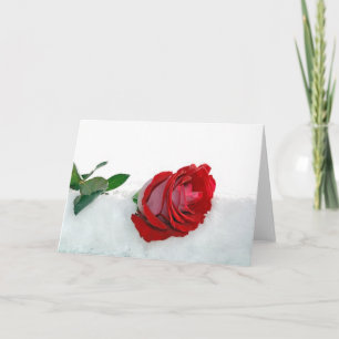 Winter Wedding Rose Holiday Card