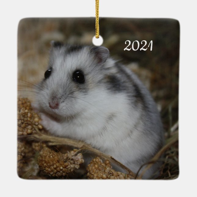 Winter White Dwarf Hamster Pet Ceramic Ornament (Back)