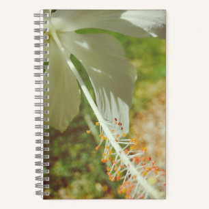 Winter White Hibiscus Notebook