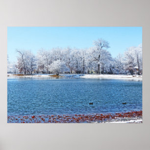 "WINTER WHITE" OLANDER PARK AND LAKE/SNOW-COVERED POSTER