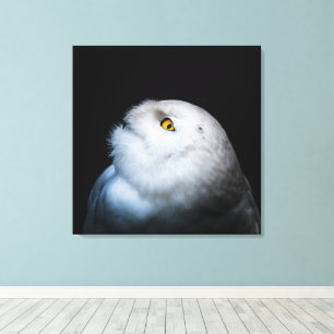 Winter White Snowy Owl Canvas Print